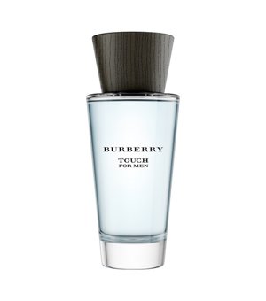 Herrenparfum Touch For Men Burberry EDT (100 ml)